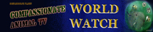 CATV World Watch