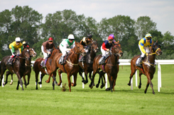 Horseracing