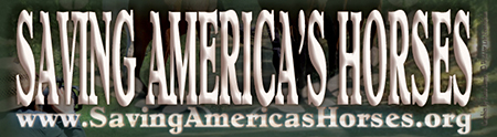 Saving America's Horses BNR