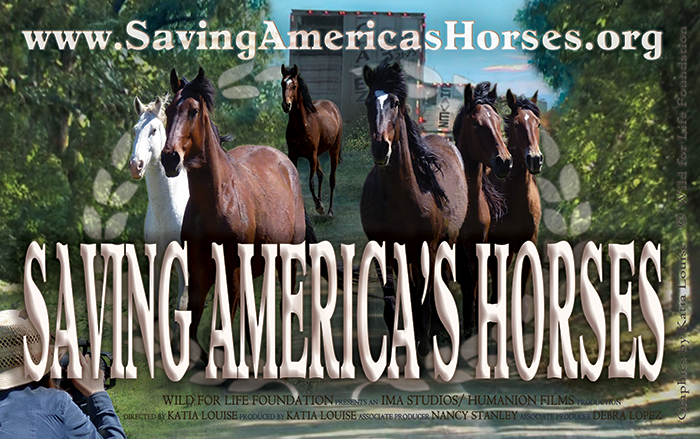 Saving America's Horses