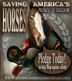 Take the Pledge