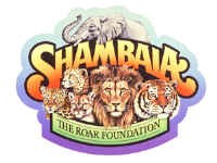 The Roar Foundation BNR