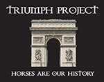 The Triumph Project