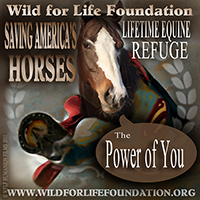 WFLF The Power of You