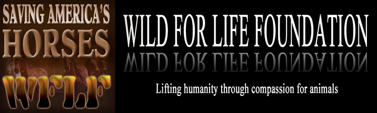 WFLF Lifting humanity through compassion for animals