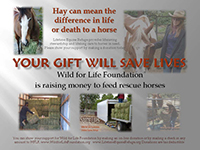 Help Save Lives