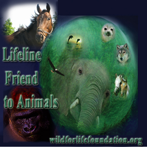 WFL Lifeline Friends to Animals
