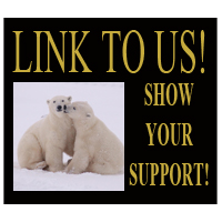 Link To Us