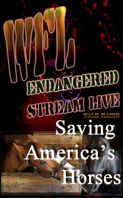 Saving America's Horses