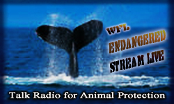 WFL Lifeline Friends to Animals
