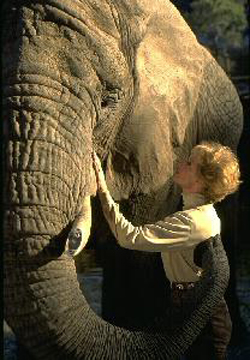 Tippi Hedren