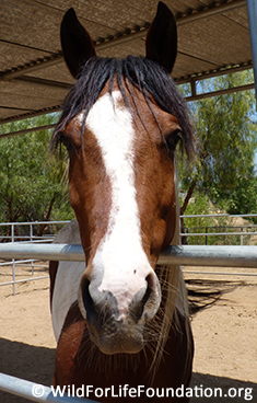 Special needs QH saved