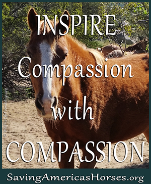Inspire Compassion with Compassion