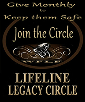 Join Lifeline Legacy