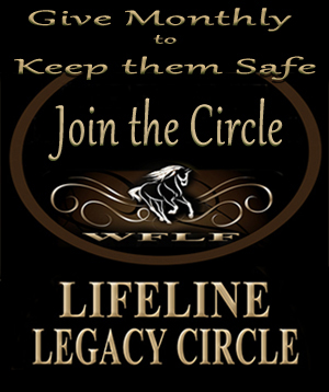Join the Circle of monthly giving that helps to keep them safe