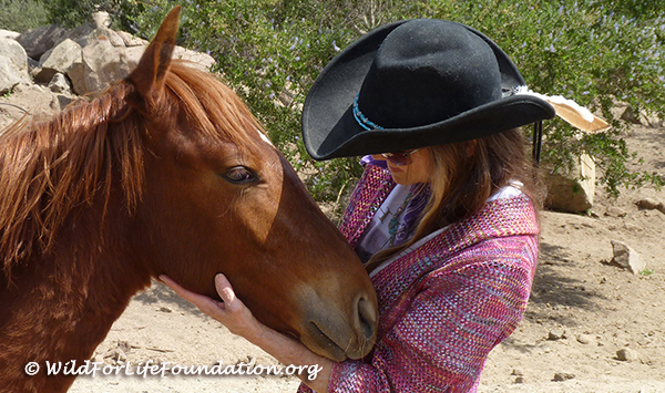 WFLF Wild Horse Rescue and Recovery