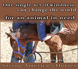 One single act of kindness can change thw orld for an animal in need