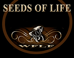 Seeds of Life