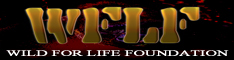 WFLF Banner