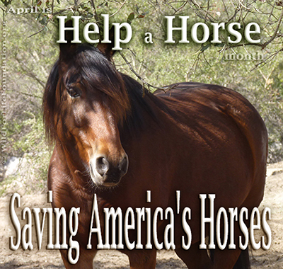 Help a Horse